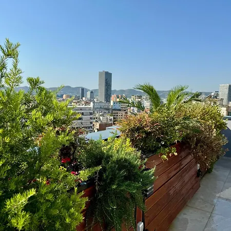 Apartment Premium Penthouse 