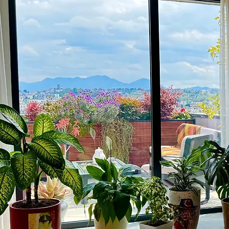 Premium Penthouse 