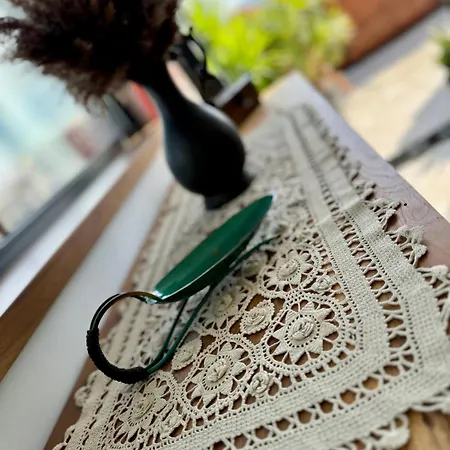 公寓 Premium Penthouse 