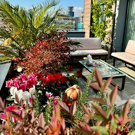 Premium Penthouse 